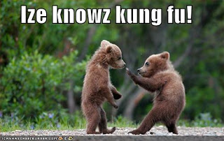 Ize knowz kung fu!