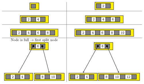 Entwicklung eines B-Baumes der Ordnung t = 3