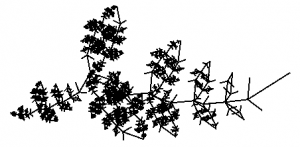 Leaf fractal #5