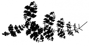 Leaf fractal #6