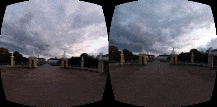 Stereographic images produced by Optonaut