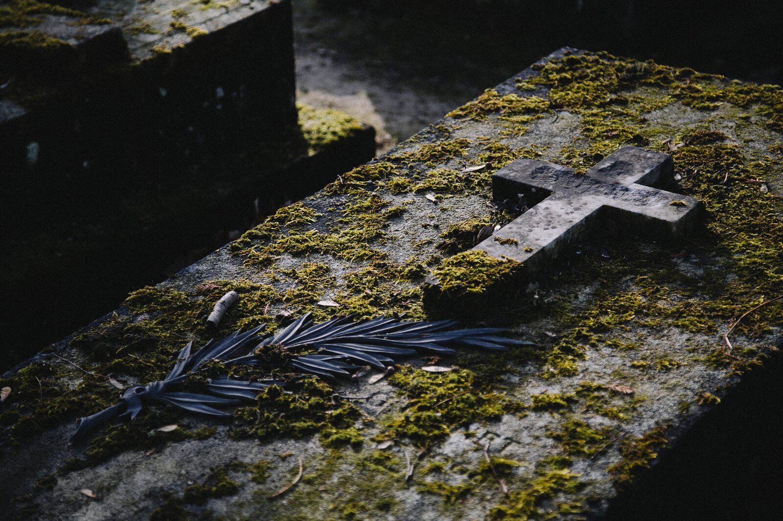 Photo by Kenny Orr on Unsplash